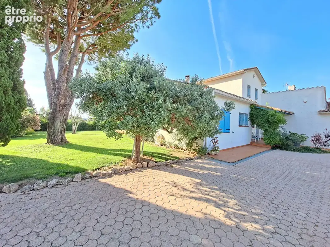 Perpignan SUD Villa 4 faces de Type 5 sur 4000m2 de terrain - photo 6