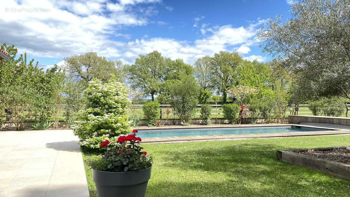 Photo 8 - Maison à MONTAUBAN