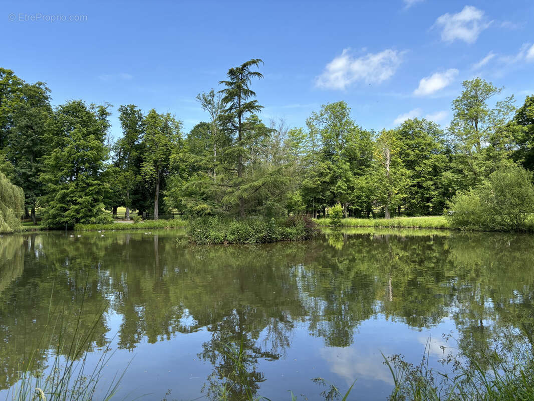 Maison à MORTAGNE-AU-PERCHE