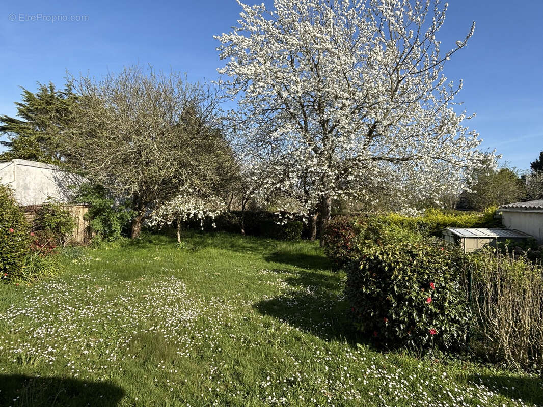 Maison à CLOHARS-CARNOET