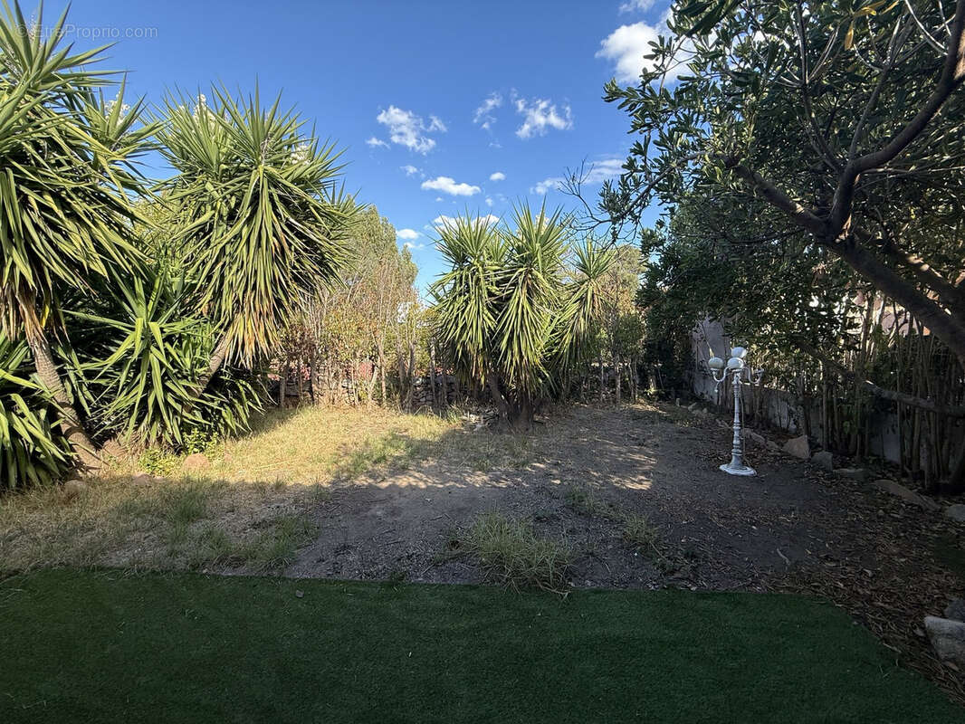 Maison à PORTO-VECCHIO