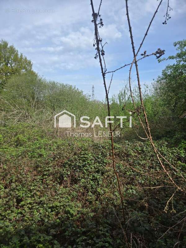 Photo 3 - Terrain à LA FERRIERE-AUX-ETANGS