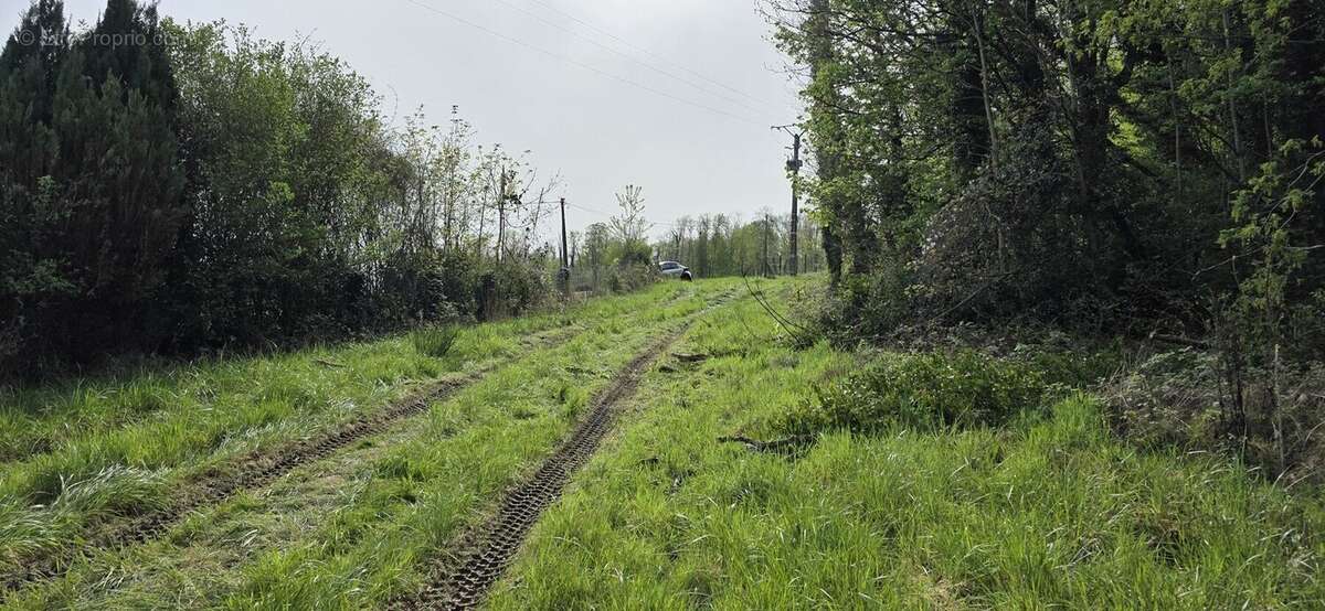 Terrain à SAINT-QUENTIN