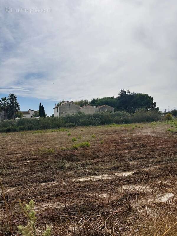 Terrain à SAINTE-MARIE