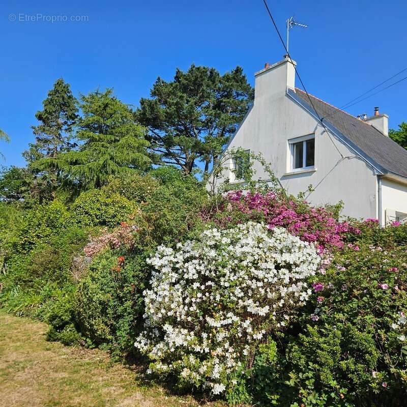 Maison au calme sur 3300 m2 de terrain arboré - photo 2