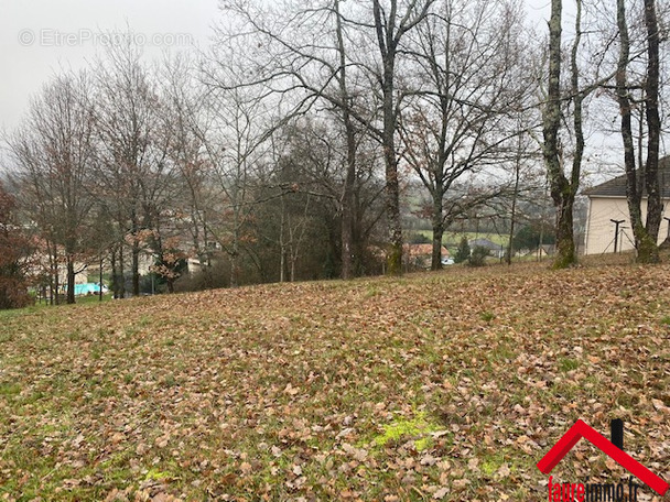 Terrain à LA FEUILLADE