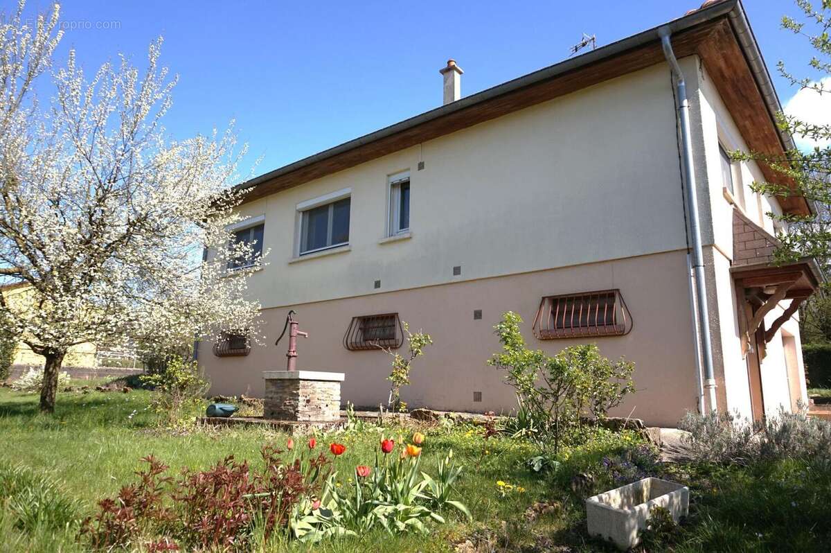 Photo 4 - Maison à DANNEMARIE-SUR-CRETE