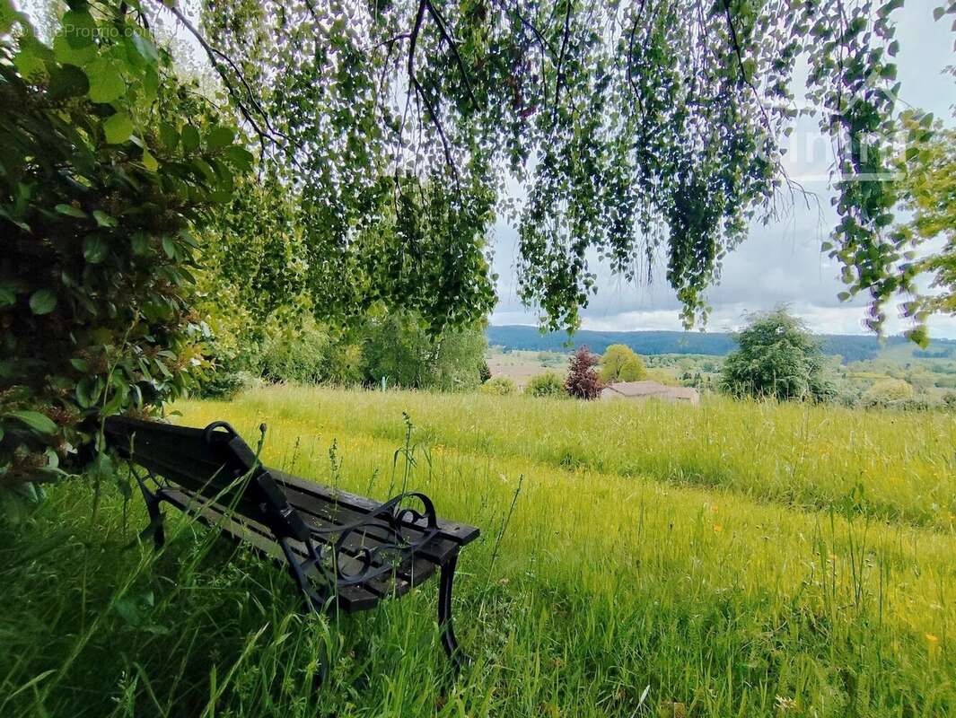 propriété de charme dans le Parc du Livradois Forez - photo 21
