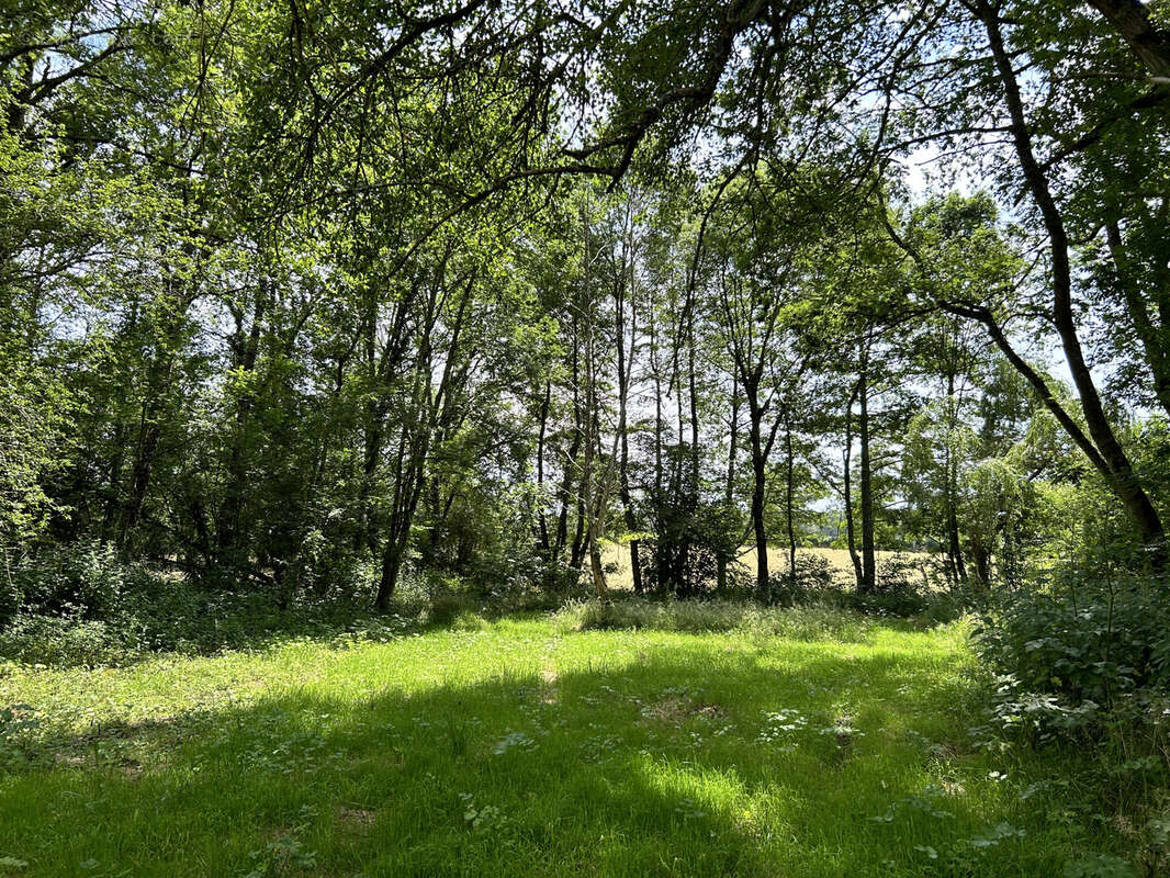 Ancien Moulin à Lignac  -  Propriété sans vis à vis de 249m2 habitables  au coeur de 4 hectares de nature - photo 39