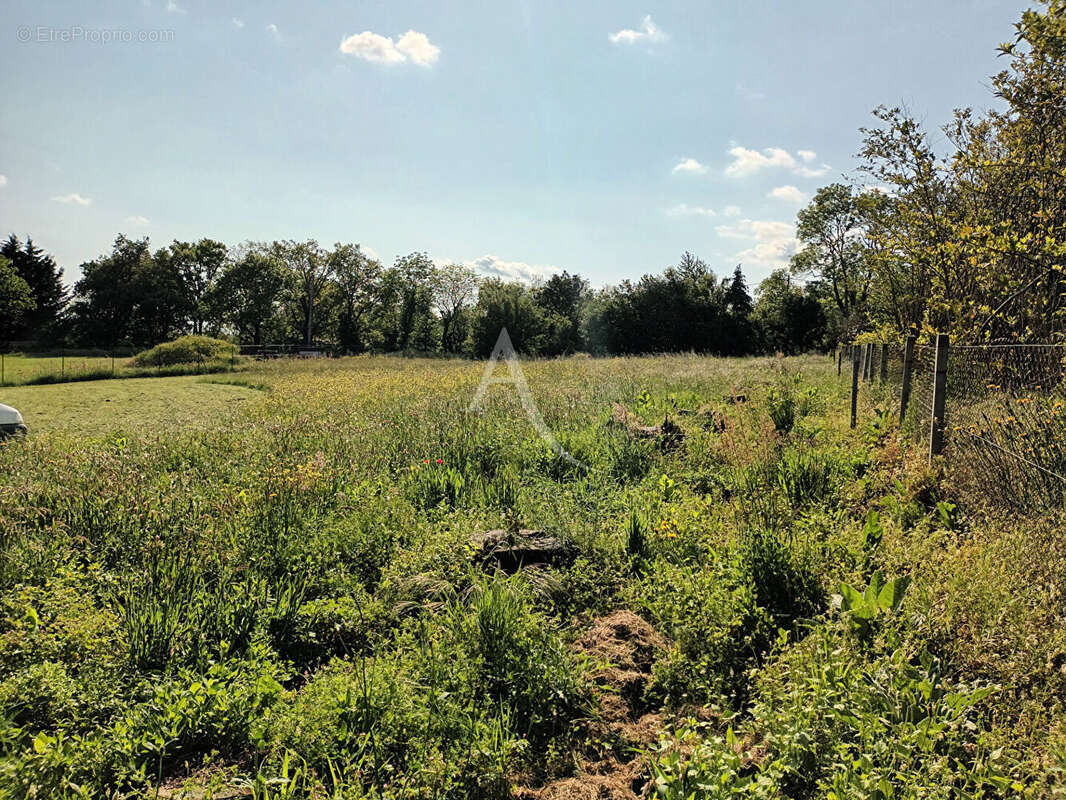 Terrain à SAINT-DENIS