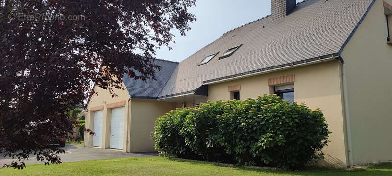 Maison à SAINT-JACUT-LES-PINS