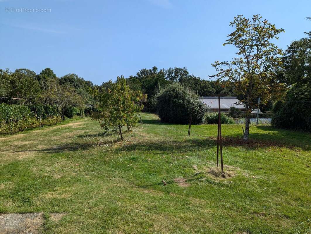 Maison à THEVET-SAINT-JULIEN