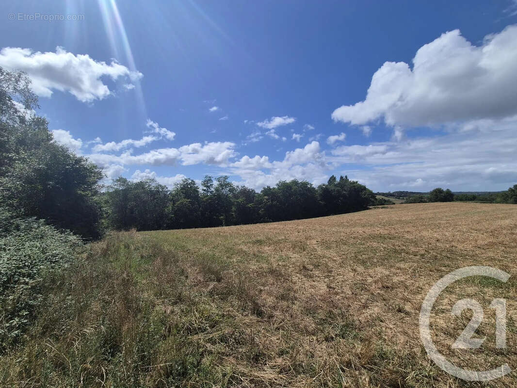 Terrain à SALIES-DE-BEARN