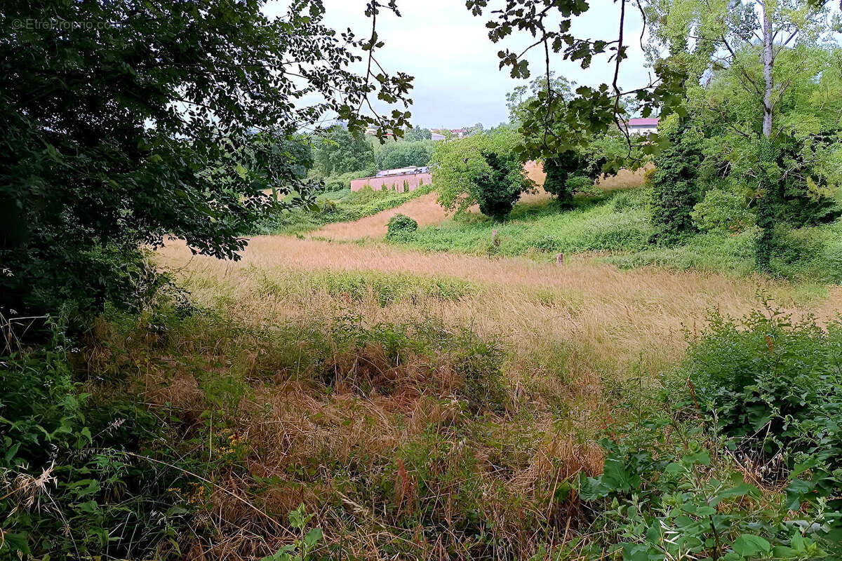 Terrain constructible de 4217 m²  à Mirandol Bourgnounac - photo 3