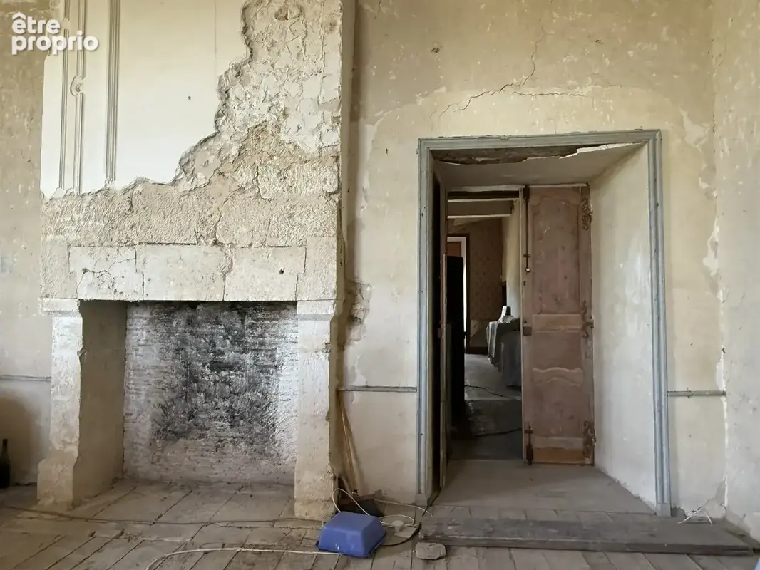 Château historique sur 19,5 hectares - photo 15