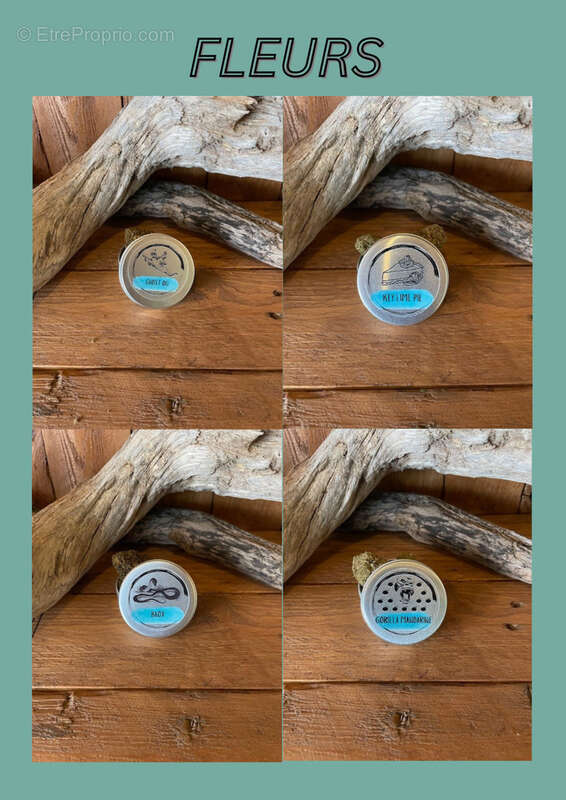 Commerce à SAINT-PIERRE