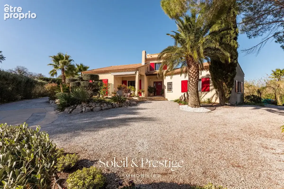 TOURBES - Maison d'architecte avec dépendance, piscine, double garage sur terrain arboré - photo 3