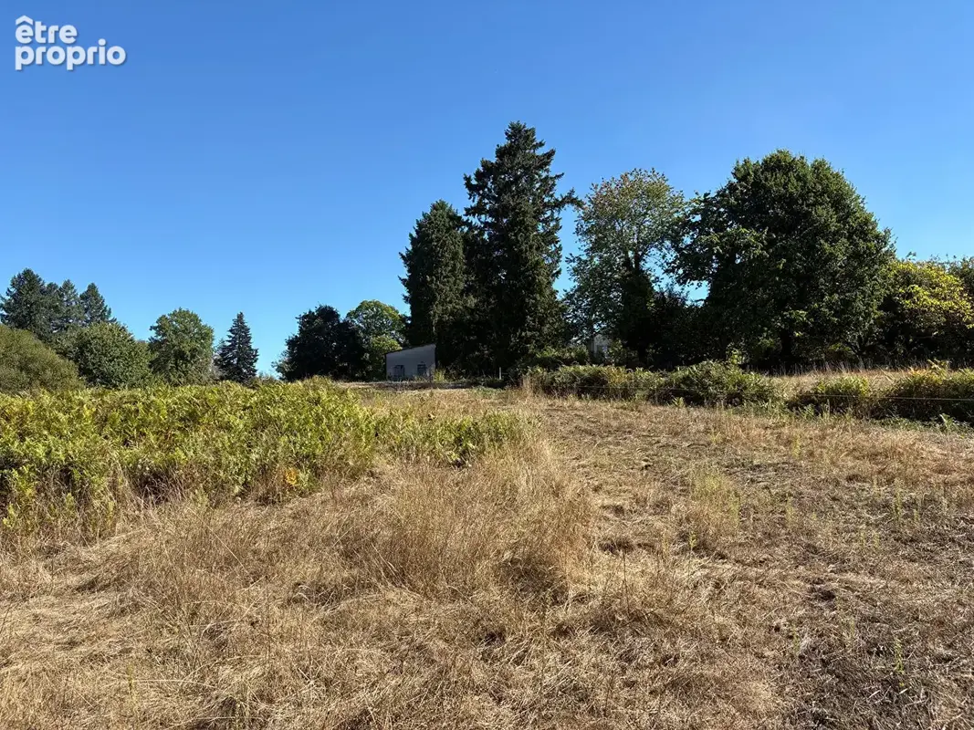 Belle propriété avec près de 3 hectares de terrain sur la commune de Champnetery - photo 16