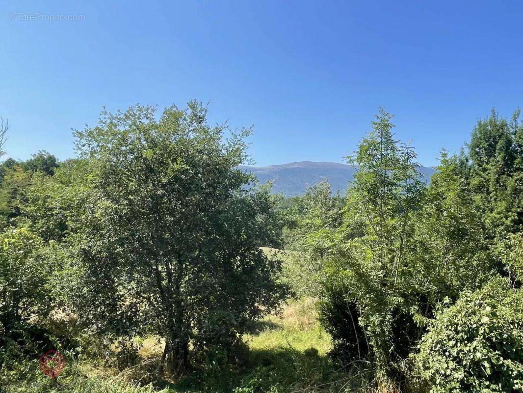 Maison à SAINT-MARTIN-DE-CARALP