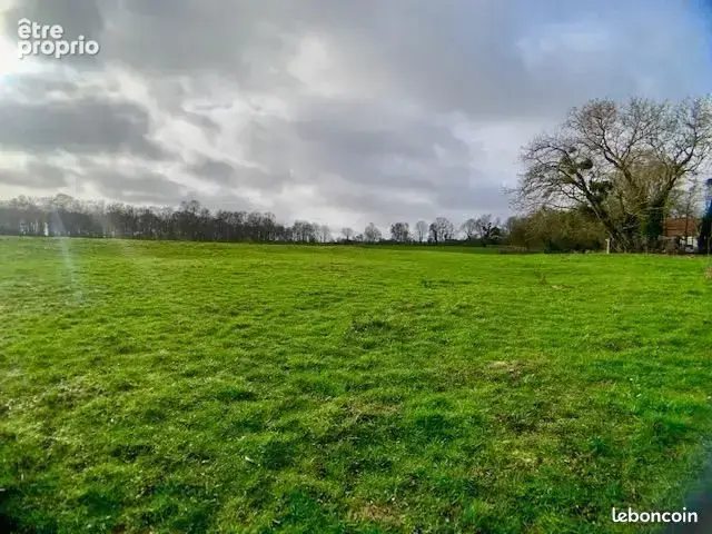 Terrain à BRIE-COMTE-ROBERT