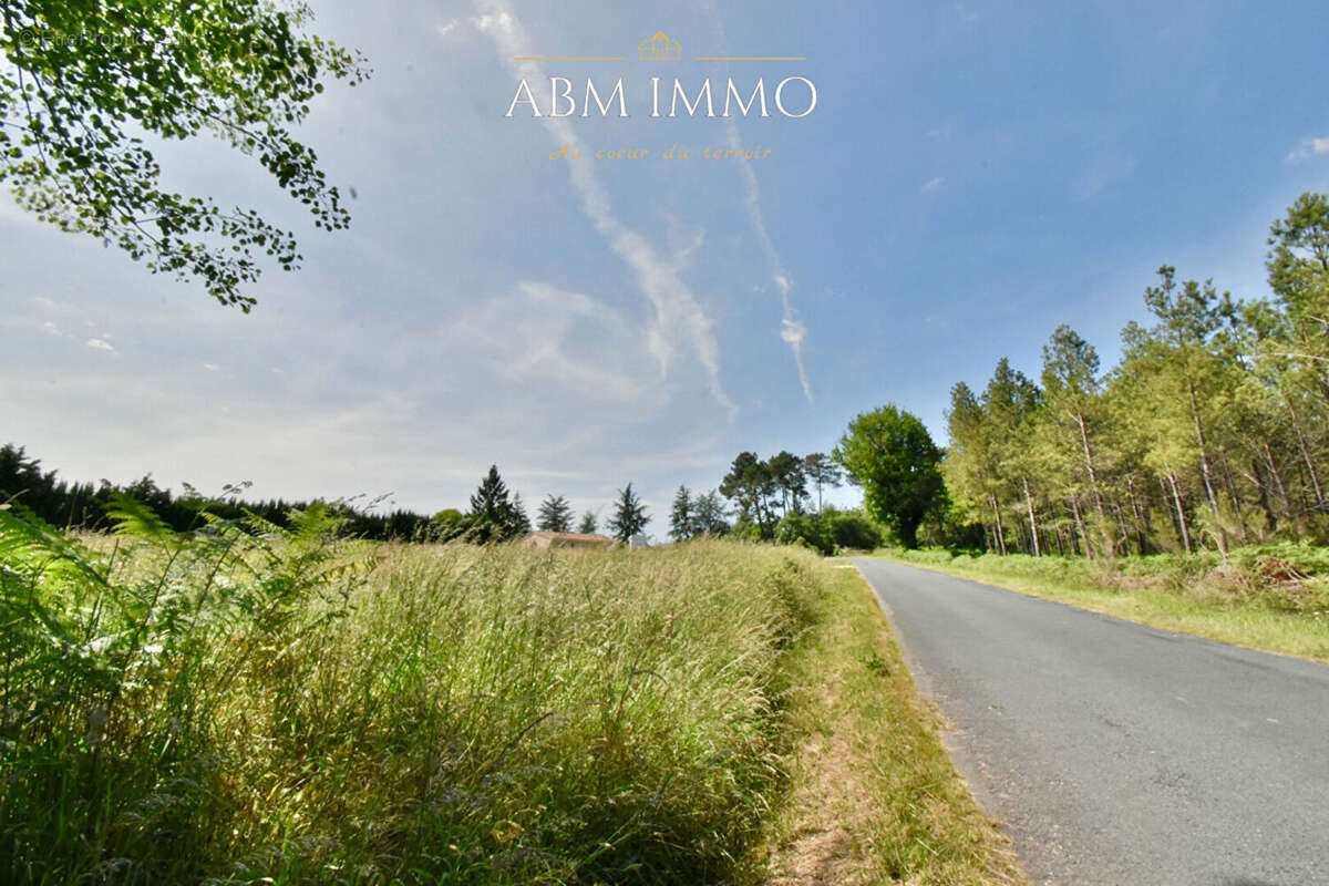 Terrain à SAINT-JULIEN-DE-CREMPSE