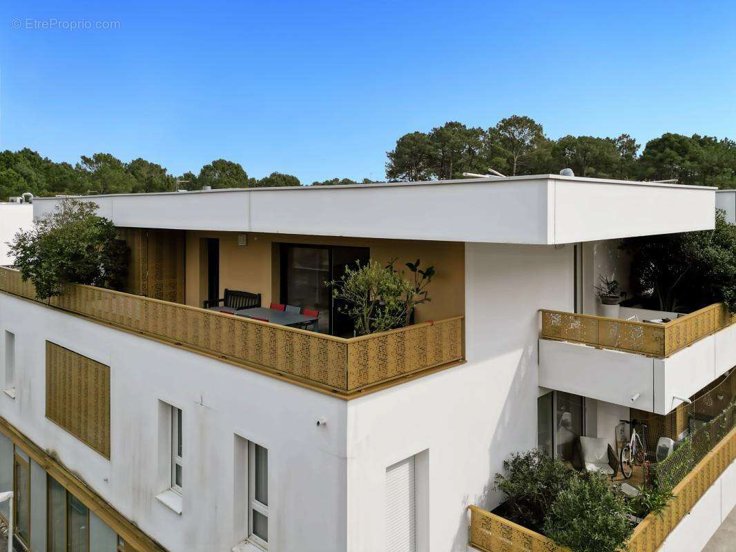 Appartement à CAPBRETON