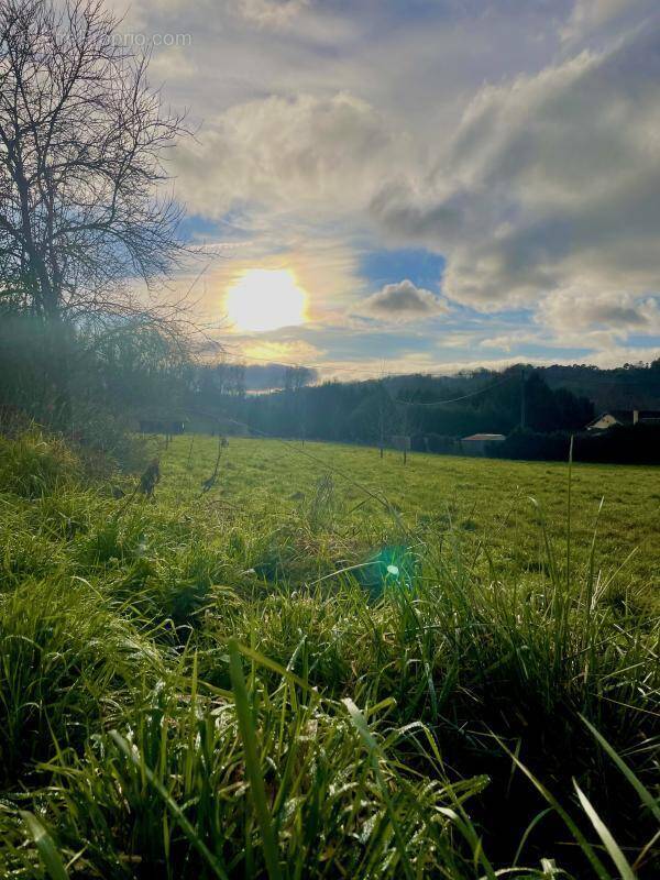 Terrain à CHANCELADE
