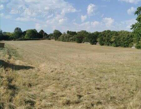Terrain à MONTSALES