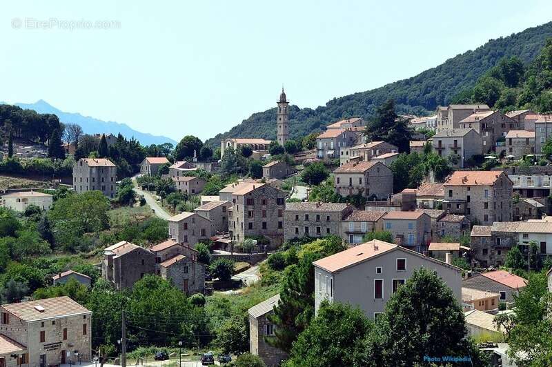 Dpt Corse (20), à vendre LEVIE terrain - photo 3