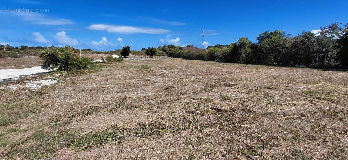 Terrain à PETIT-CANAL
