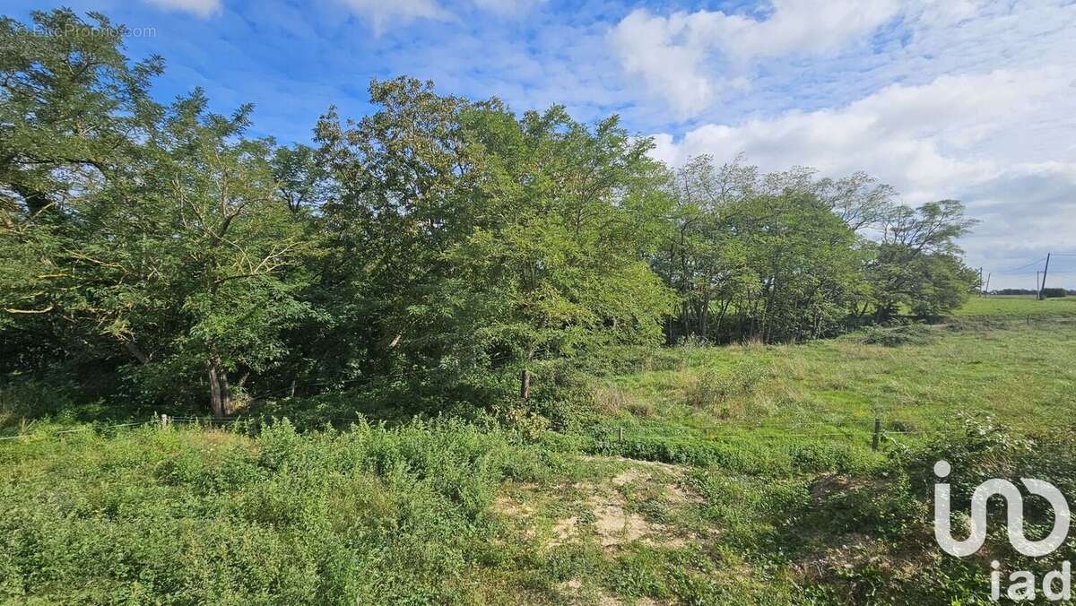 Photo 5 - Maison à PUYDANIEL