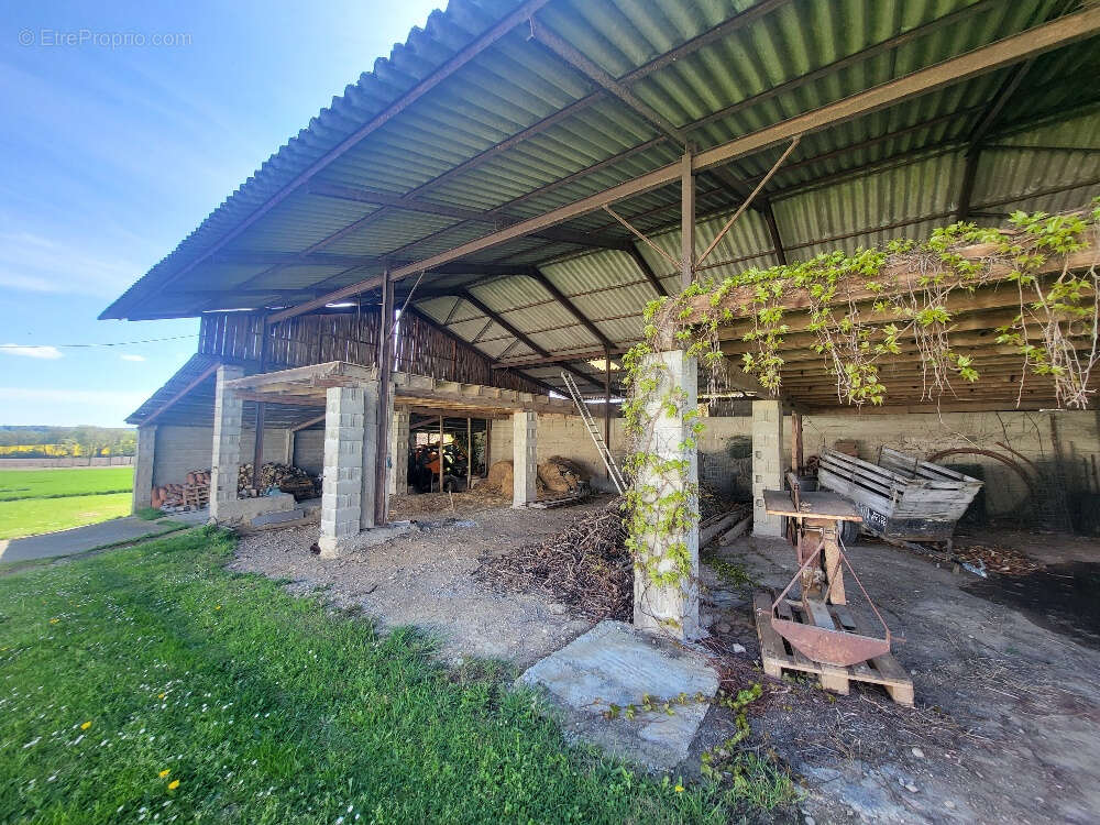 Maison à CHATILLON-SUR-CHALARONNE