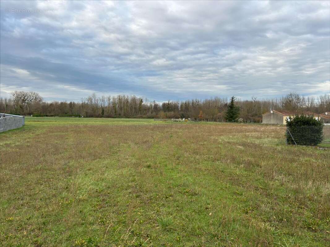 Terrain à DISSAY