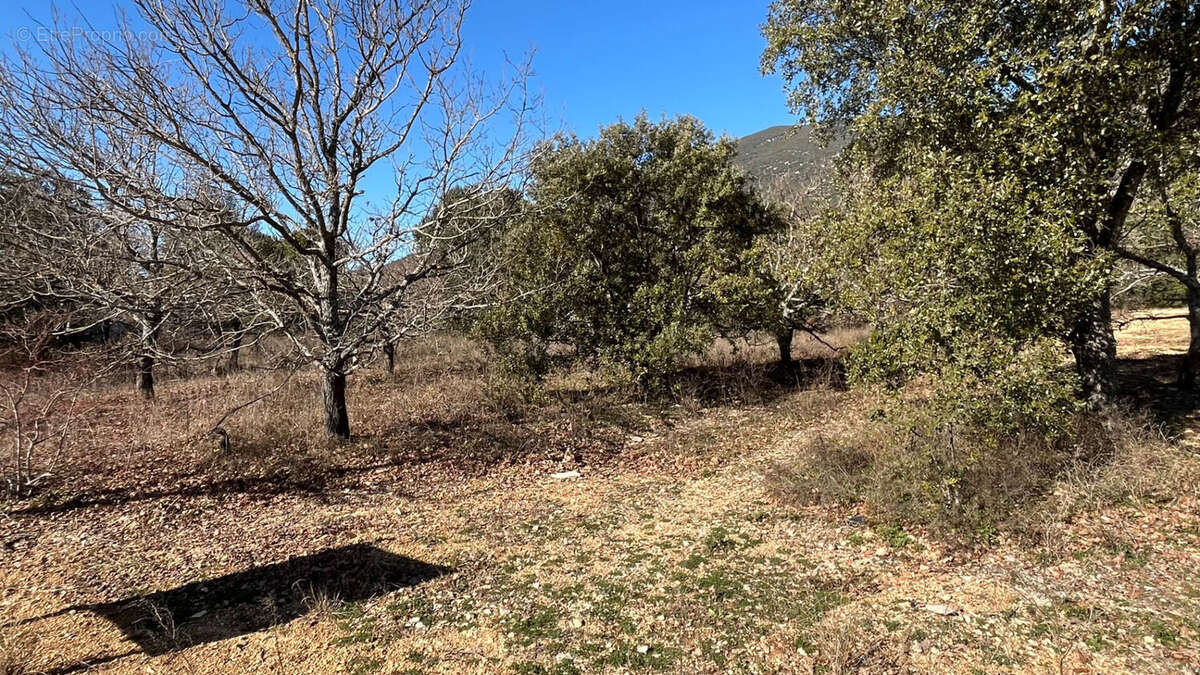 Photo 7 - Terrain à RUSTREL