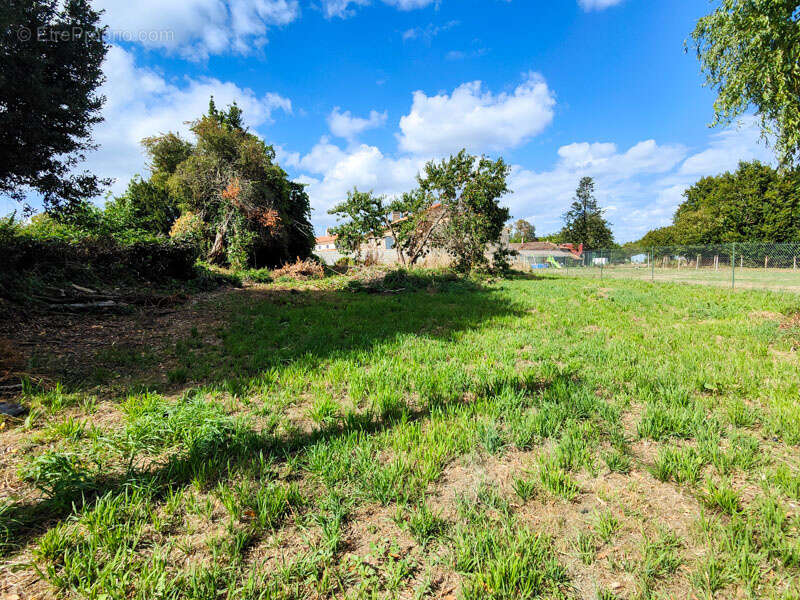 Terrain à SAUZE-VAUSSAIS