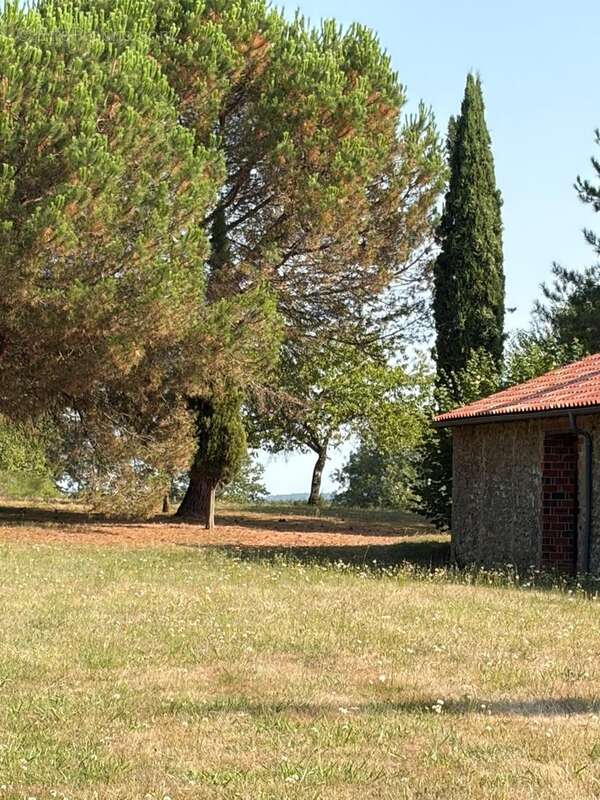 PLAISANCE DU GERS(32): élégante PROPRIETE DE CHARME et de CARACTERE XVIII-XIXs, 3,5hectares, près de Plaisance et Marciac, SANS  - photo 62