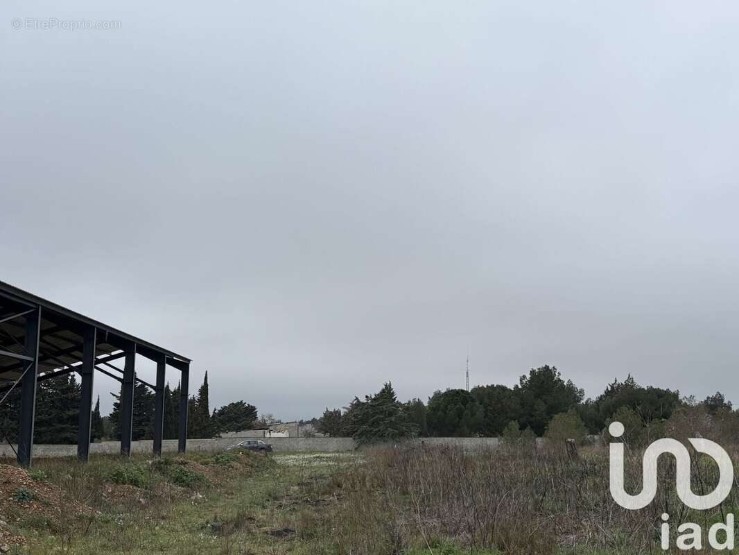 Photo 3 - Terrain à SIGEAN