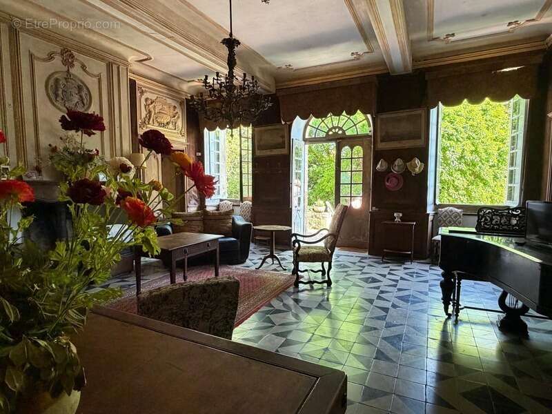 Gers(32), TRES BEAU CHATEAU DE FAMILLE 45HA avec dependances, un peu caché, en position dominante, une belle histoire - photo 43