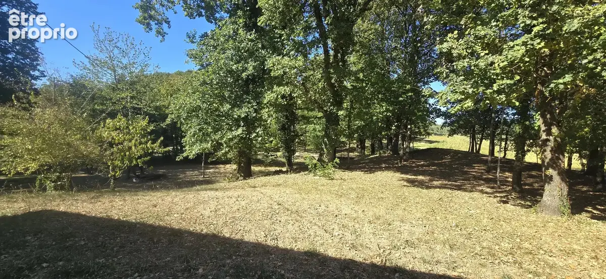 Campagne 200 m² grand terrain 8500 m² - photo 31