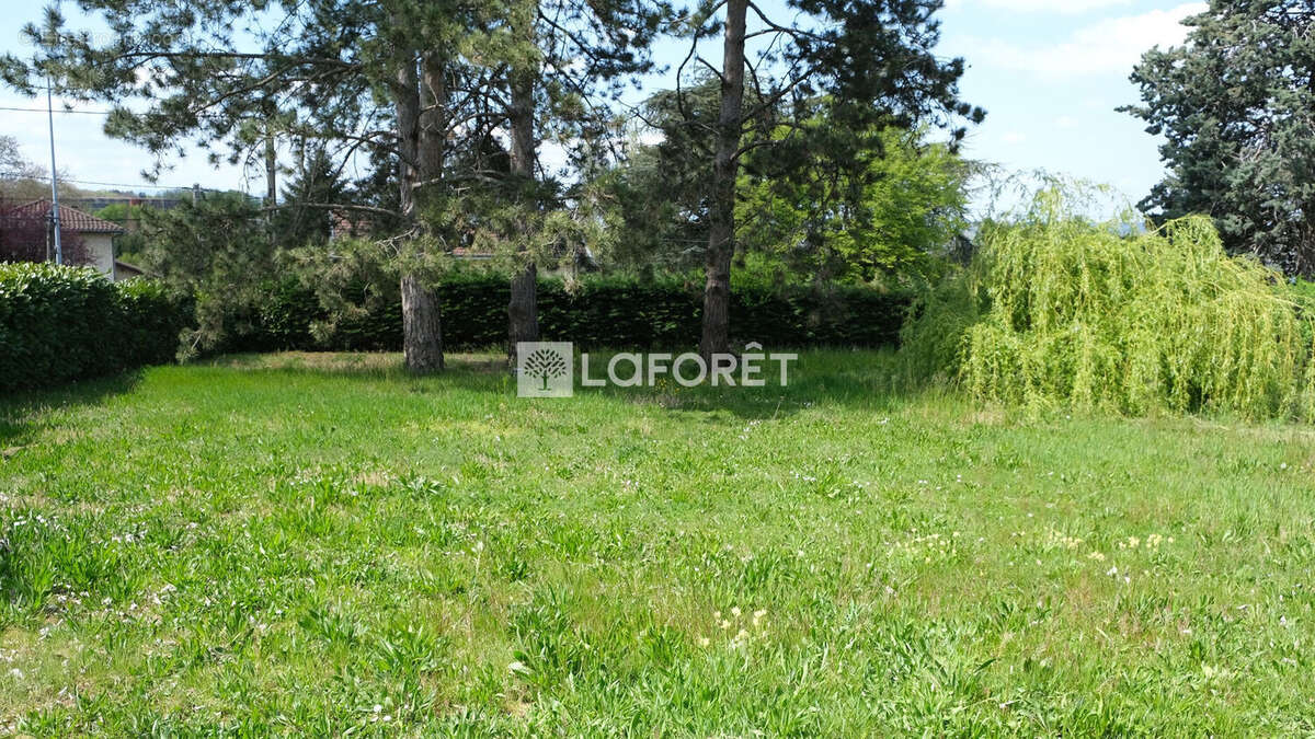 Terrain à ALBIGNY-SUR-SAONE