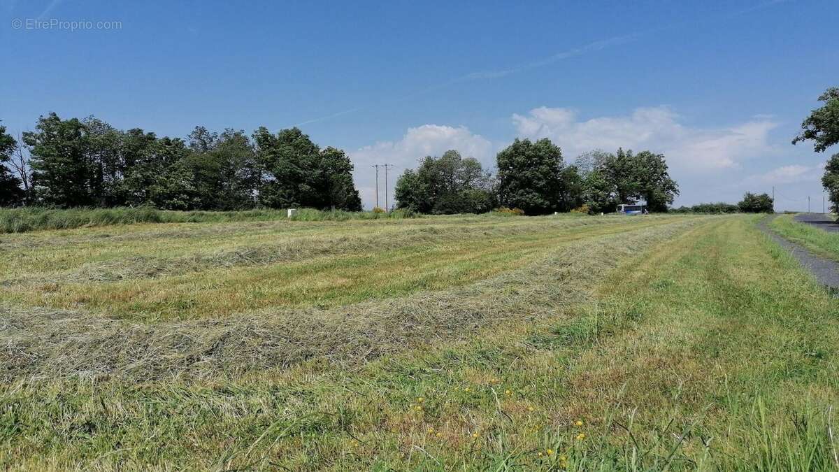 Terrain à CASSAGNES-BEGONHES
