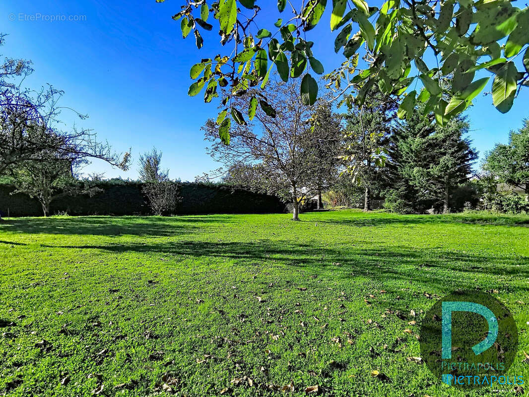 Terrain à SAINT-CYR-SUR-MENTHON