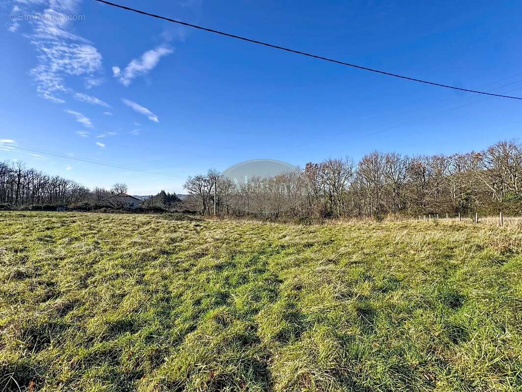 Terrain à VILLECOMTAL-SUR-ARROS