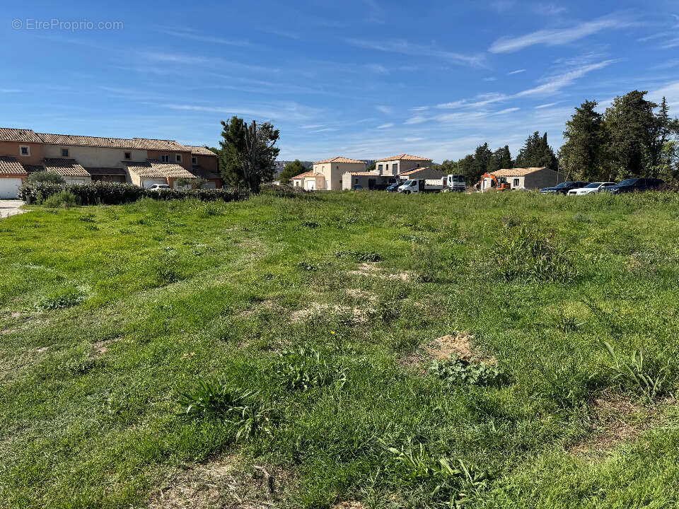 Terrain 350 m² à Vedene  - photo 4