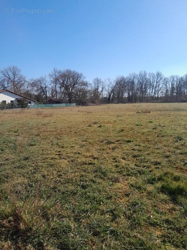 Terrain à MONTUSSAN