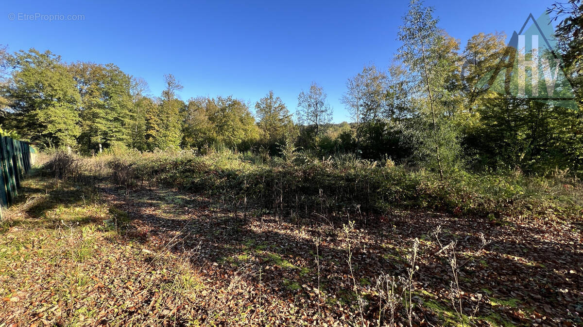 Terrain à CHEROY