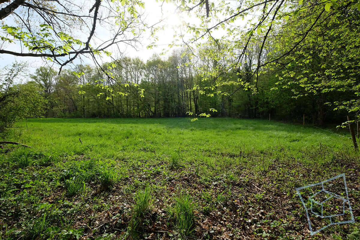 Terrain à CHEVREUSE