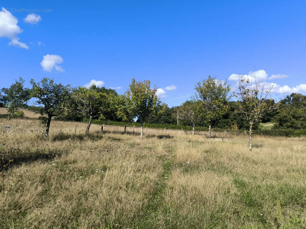 Maison à SAINT-PEREUSE
