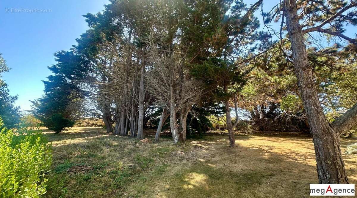 Propriété d'exception, sur presque un hectare dans un secteur calme et préservé - photo 10