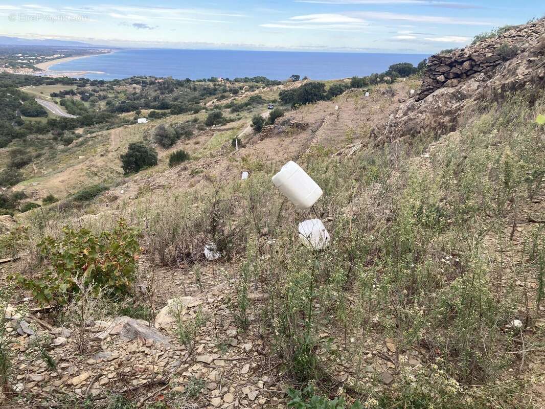 Terrain à COLLIOURE
